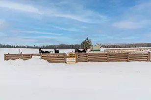 33896 County 21, Browerville, MN 56438 - Photo 20