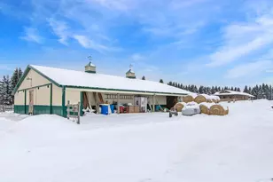 33896 County 21, Browerville, MN 56438 - Photo 14