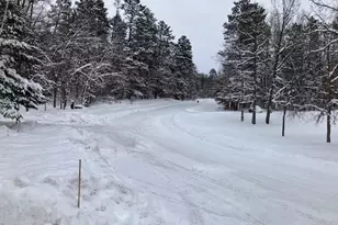 31041 Spring Loop, Pequot Lakes, MN 56472 - Photo 34