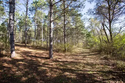 949 Riverdale Court, Somerset, WI 54025 - Photo 26