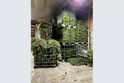 2585* State 200 NE, Remer, MN 56672 - Photo 4