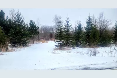 17 E County Road, Mizpah, MN 56660 - Photo 8