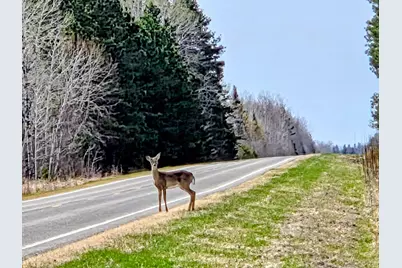 17 E County Road, Mizpah, MN 56660 - Photo 2