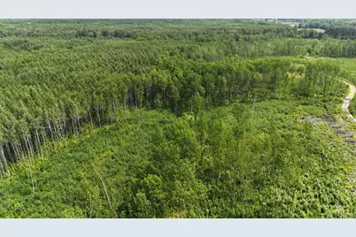 17 E  Tbd County Road, Mizpah, MN 56660 - Photo 8
