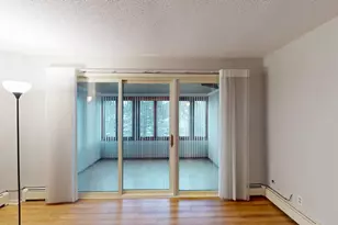 317 6th Ave SW, Rochester, MN 55902 - Photo 8