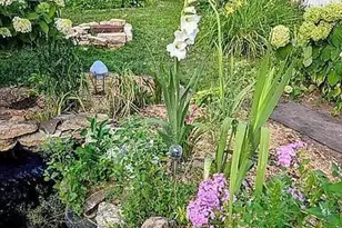 602 S Oak St, Lake City, MN 55041 - Photo 56