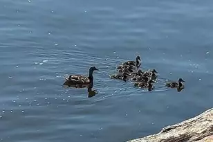 602 S Oak St, Lake City, MN 55041 - Photo 74