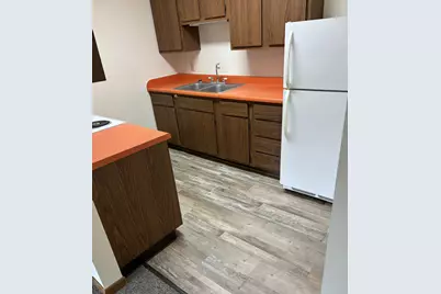 102 N Madison Avenue #7, Battle Lake, MN 56515 - Photo 2