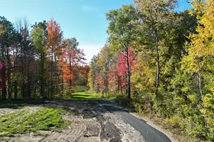 10036 211th St N, Forest Lake, MN 55025 - Photo 24