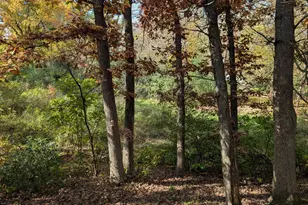 6418 25th St N, Oakdale, MN 55128 - Photo 36