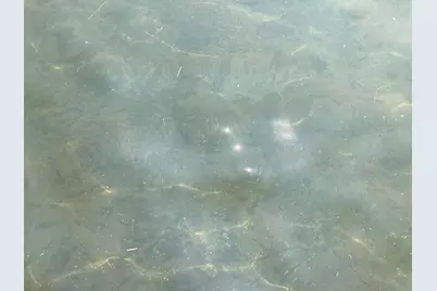 51509 County Hwy 9, Pelican Rapids, MN 56572 - Photo 44