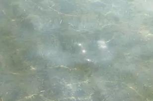 51509 County Hwy 9, Pelican Rapids, MN 56572 - Photo 44