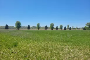 34489 Airport Ct, Frontenac, MN 55026 - Photo 1