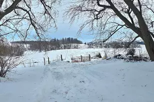 15514 341st Ave, Harmony, MN 55939 - Photo 64