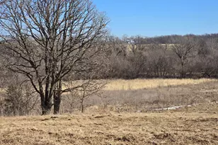 15514 341st Ave, Harmony, MN 55939 - Photo 66