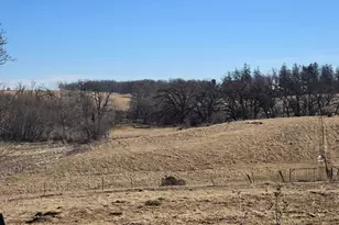 15514 341st Ave, Harmony, MN 55939 - Photo 64