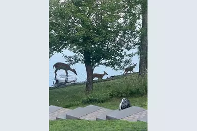 66895 Spider Lake Road, Iron River, WI 54847 - Photo 40