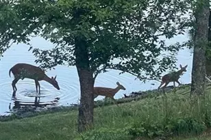 66895 Spider Lake Rd, Iron River, WI 54847 - Photo 40