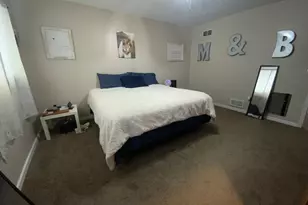 67368 380th St, Watkins, MN 55389 - Photo 12