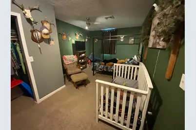 67368 380th Street, Watkins, MN 55389 - Photo 14