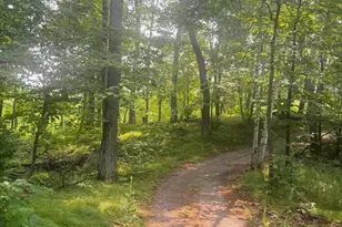 8038 Lost Lake Rd, Lake Shore, MN 56468 - Photo 24