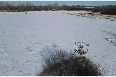 W74Tbd Homestead Road, Conrath, WI 54731 - Photo 4