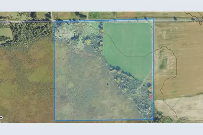 Tbd Homestead Road, Conrath, WI 54731 - Photo 8