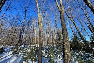 26810 N Hart Lake Road, Pengilly, MN 55775 - Photo 58