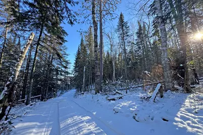 26810 N Hart Lake Road, Pengilly, MN 55775 - Photo 40