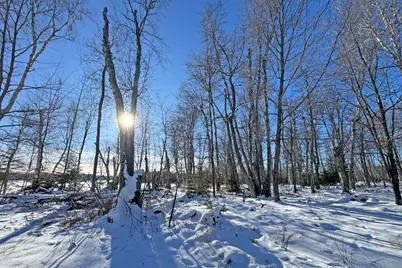 26810 N Hart Lake Road, Pengilly, MN 55775 - Photo 28