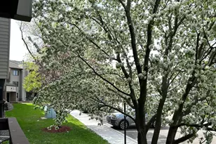 4300 Trenton Ln N, Plymouth, MN 55442 - Photo 6