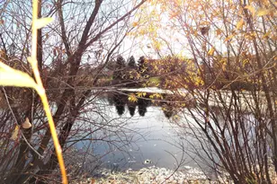 9204 Holly Ln N, Maple Grove, MN 55311 - Photo 34