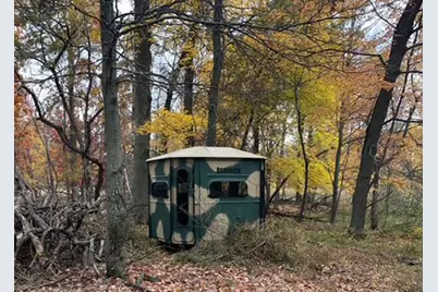 14217 Packard Street NE, Ham Lake, MN 55304 - Photo 50