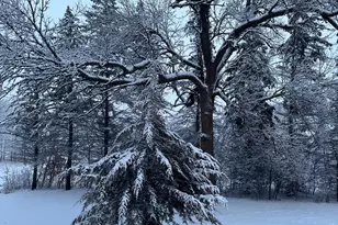 3375 County Rd 90, Maple Plain, MN 55359 - Photo 44