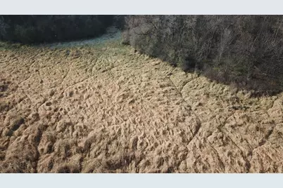 Tbd 72nd St. SW, Howard Lake, MN 55349 - Photo 4