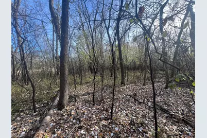 Tbd 72nd St. SW, Howard Lake, MN 55349 - Photo 8