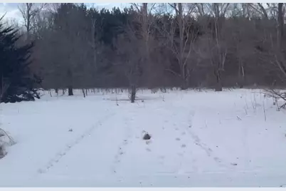 Tbd Riverview Drive NE, Carlos, MN 56319 - Photo 1