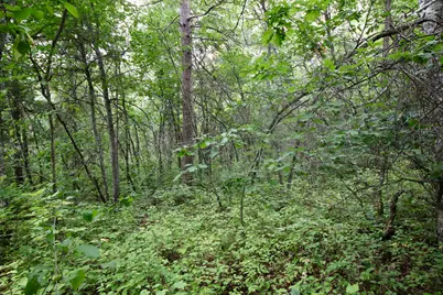 Tbd Gravdahl Drive, Pequot Lakes, MN 56472 - Photo 10