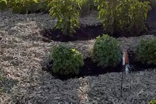 32745 Co Hwy 37, Ponsford, MN 56575 - Photo 82