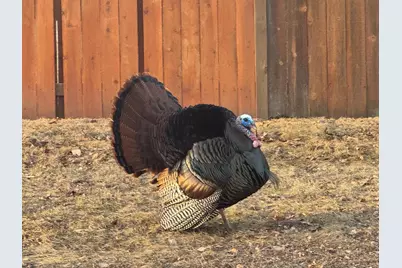 8556 Hiawatha Avenue, Eden Prairie, MN 55347 - Photo 42