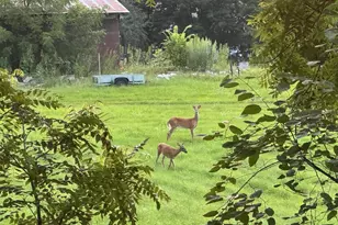 8556 Hiawatha Ave, Eden Prairie, MN 55347 - Photo 40