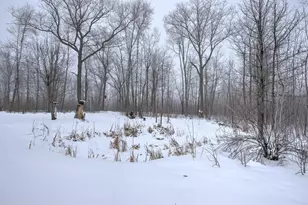 2680 Olympic St, Brook Park, MN 55007 - Photo 30