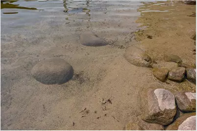 33992 Sunrise Island Road, Crosslake, MN 56442 - Photo 6