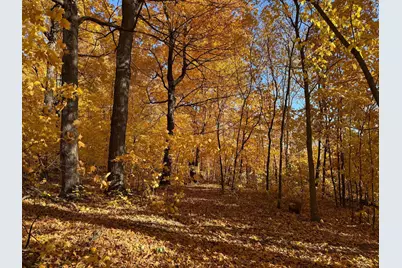 7495 Fern Court, Loretto, MN 55357 - Photo 6