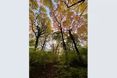 7495 Fern Court, Loretto, MN 55357 - Photo 4