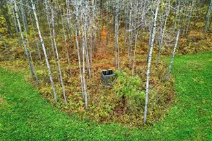 21437 Co Rd 17, Cohasset, MN 55721 - Photo 40