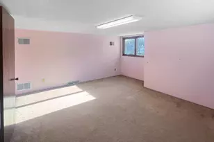 413 N 1st Ave W, Truman, MN 56088 - Photo 28