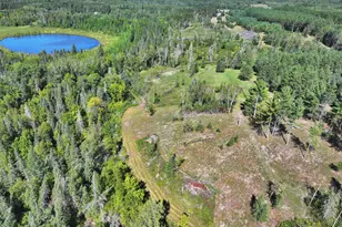 35726 Dinner Lake Loop, Park Rapids, MN 56470 - Photo 54