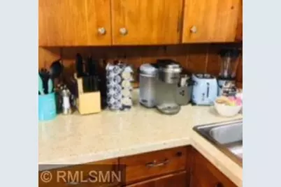 1013 Sims Avenue, Saint Paul, MN 55106 - Photo 38