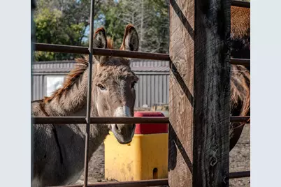 5445 157th Street S, Glyndon, MN 56547 - Photo 68